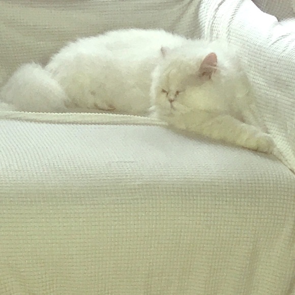 Shop with us . Bundle and save. - Picture 1 of 1